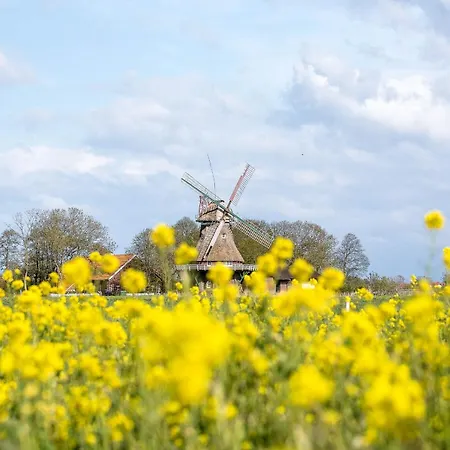 Prázdninový dům Tiny House Pioneer 4 - Tiny Spot *