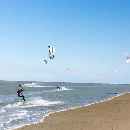 Tiny House Pioneer 4 - Green Tiny Spot Schillig * Schillig