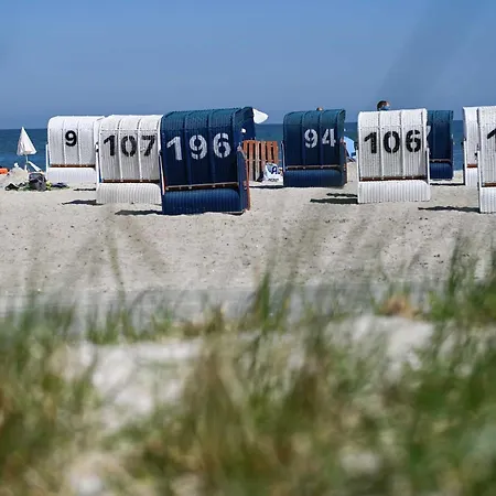 Tiny House Pioneer 4 - Tiny Spot *